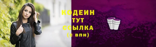 спиды Няндома