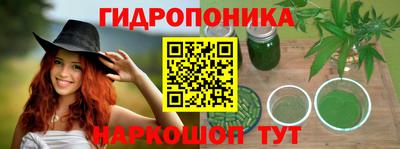 ешки Лесосибирск