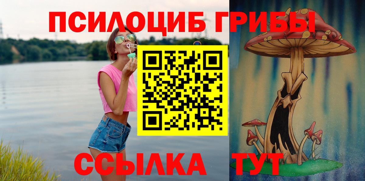 Галлюциногенные грибы Psilocybe Чебоксары