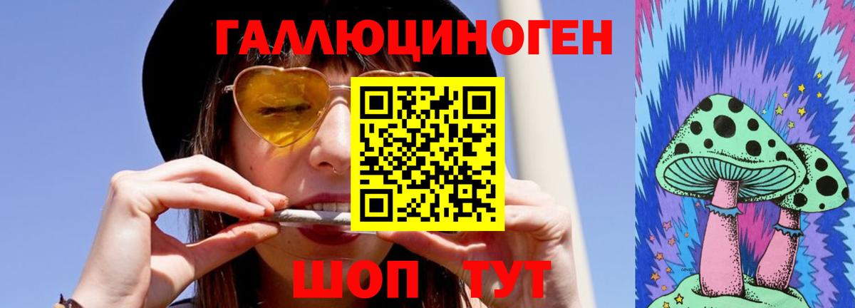 Чебоксары  Галлюциногенные грибы прущие грибы  Вход с VPN 