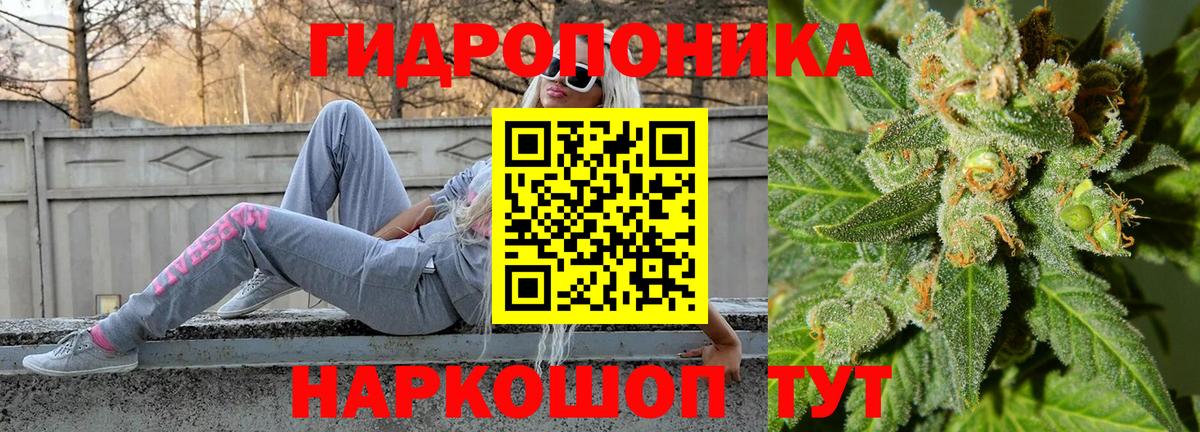 Чебоксары  Шишки марихуана Ganja  Бошки Шишки план  Каннабис Bruce Banner  Вход с VPN 